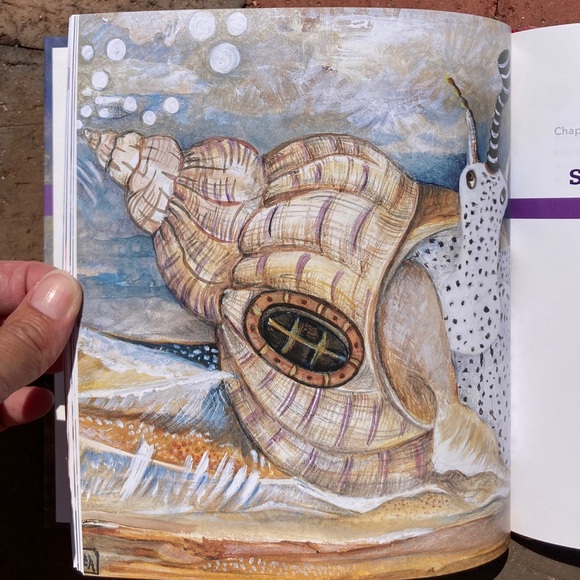 Simmering the Sea Diversifying Cookbook Sustainability Rhode Island Seafood Fish - Picture 3 of 10